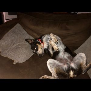 Meet your Posher, Brian